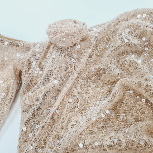 LPA Aniella Gown in Champagne - Picture 6 of 14